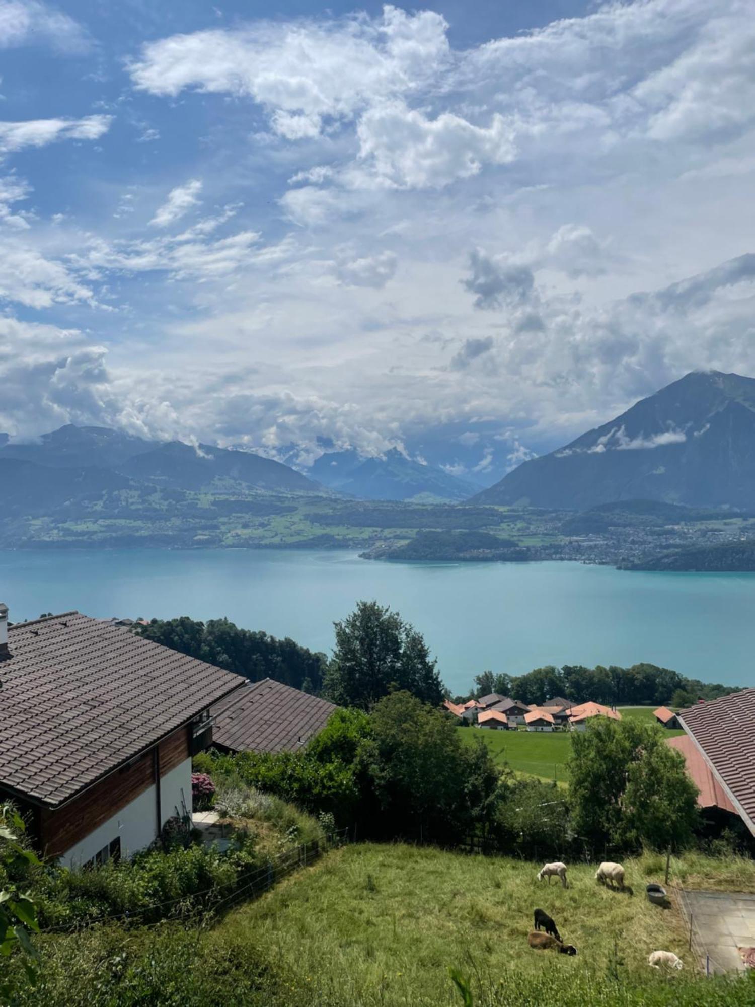 Seeblick Aeschlen Bagian luar foto
